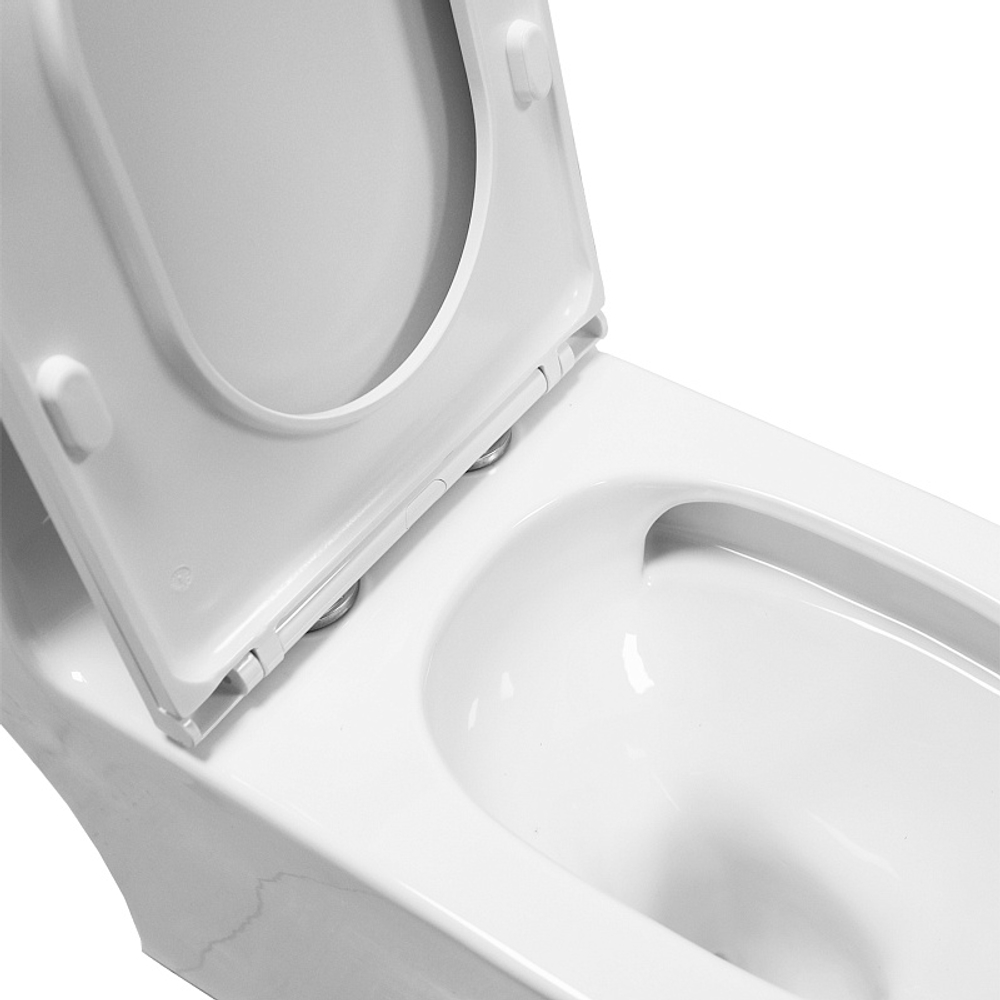 Унитаз-моноблок Azario Vally 690х360х760 напольный, слив "Торнадо", в комплекте с быстросъемным и сиденьем микролифт (AZ-80687)