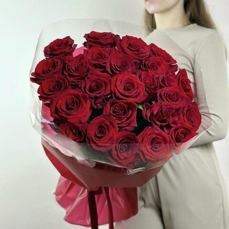 Розы эксплорер