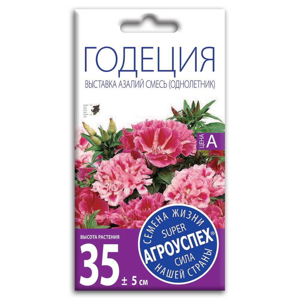 Годеция Выставка азалий, семена Агроуспех 0,3г