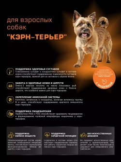 Корм сухой для собак породы Кэрн-терьер, с индейкой, 800 гр