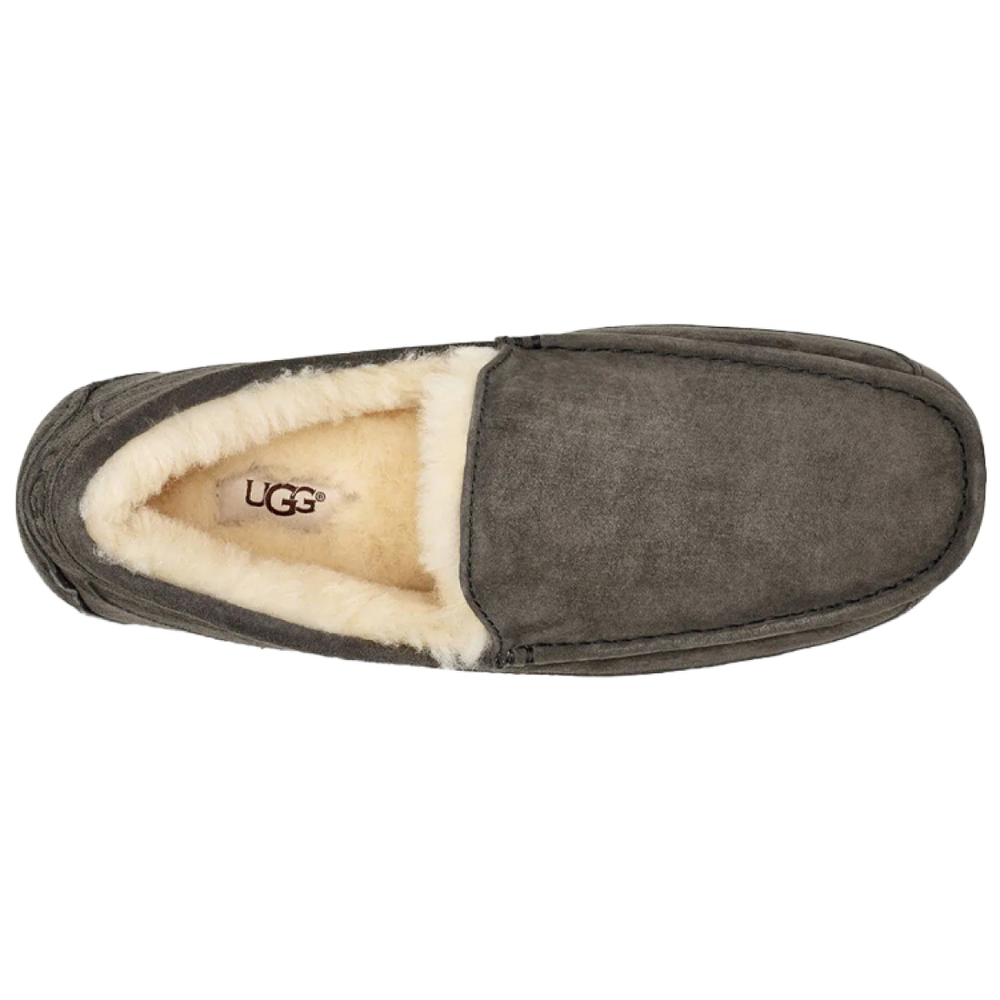 Мокасины UGG Ascot Slipper, 1101110-CHRC