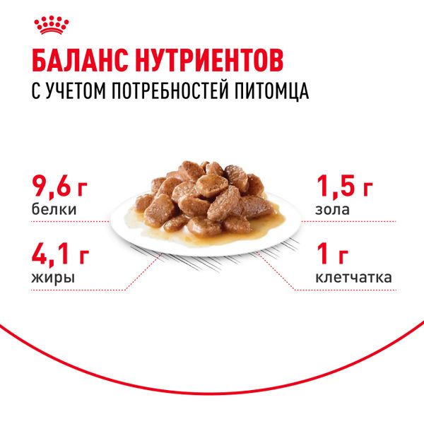 Пауч Royal Canin Ageing +12 для стареющих кошек в возрасте старше 12 лет, мелкие кусочки в cоусе