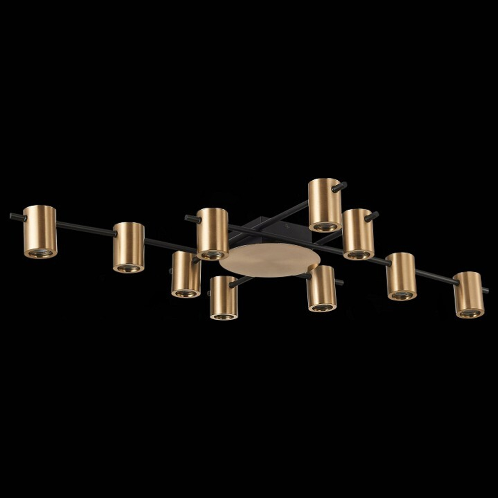 Накладная люстра ST-Luce SL1207.402.10