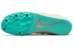 Кроссовки Nike Zoom Rival D 10