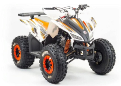 Квадроцикл MOTOLAND 125 COYOTE (2021 Г.)