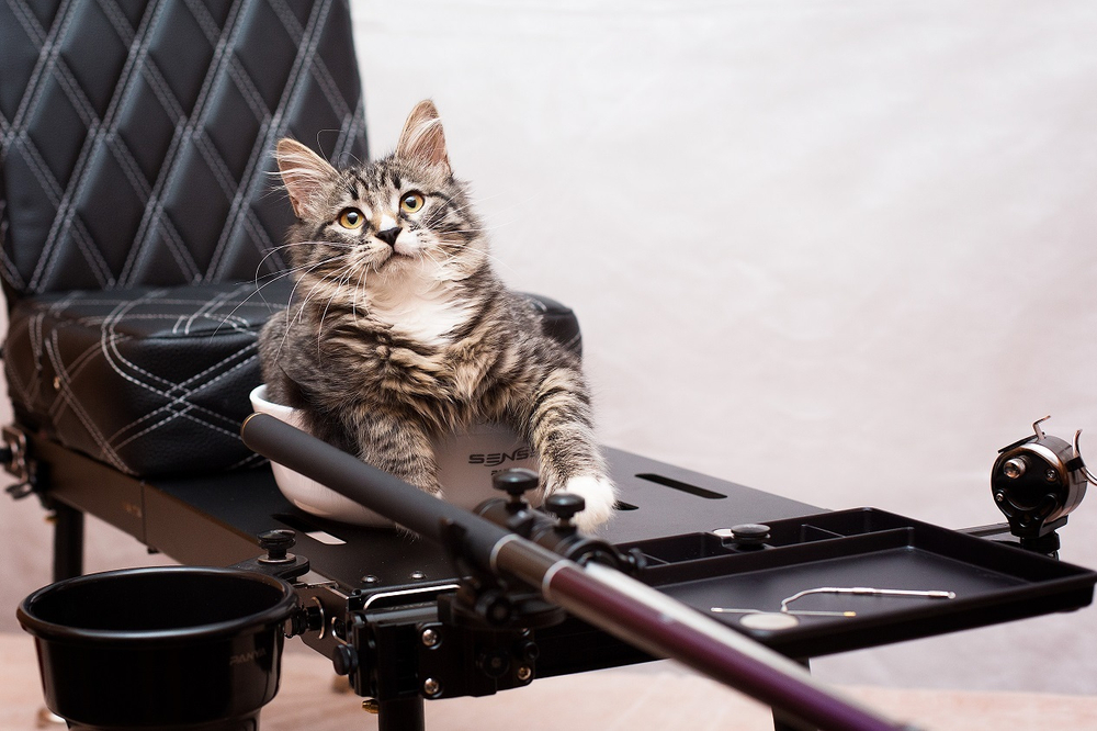 Универсальная чашка