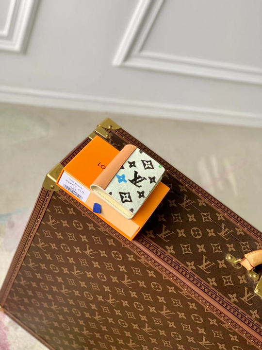 Louis Vuitton Pocket Organizer