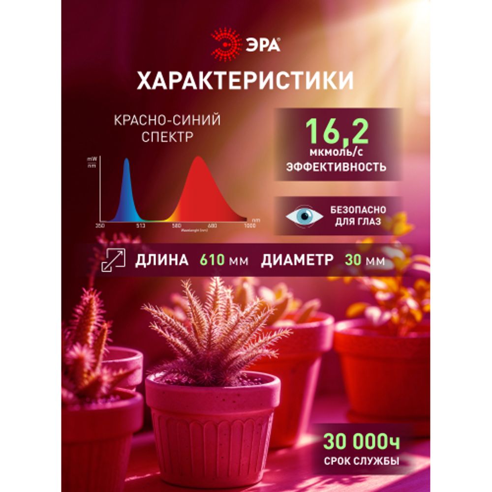 Лампа светодиодная ЭРА RED LINE LED P45-8W-827-E14 R 8Вт шар теплый белый свет E14