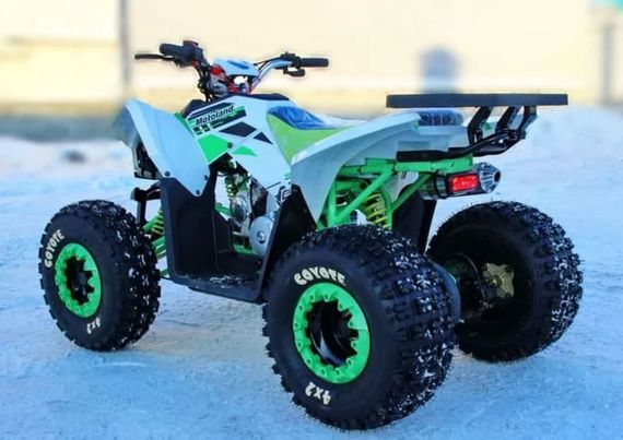 Квадроцикл MOTOLAND 125 Coyote (2021 Г.)