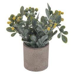 GAEM Цветочная композиция, L8 W8 H18 см