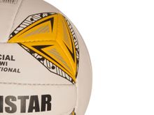 Волейбольный мяч #00904