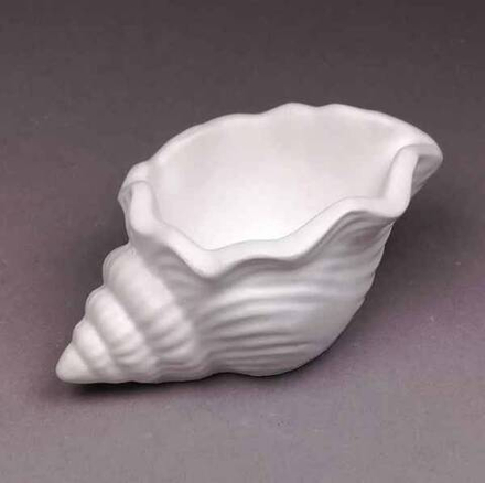 Ракушка большая