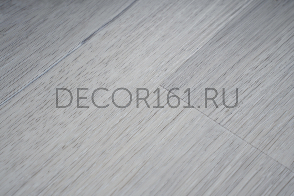 1238 Forest Collection SPC