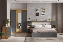 Шкаф-купе Вена ШК 101, Дуб золотой, Графит серый