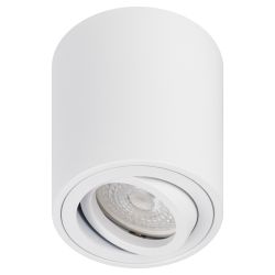 Светильник настенно-потолочный спот ЭРА OL21 WH MR16/GU10, белый, поворотный