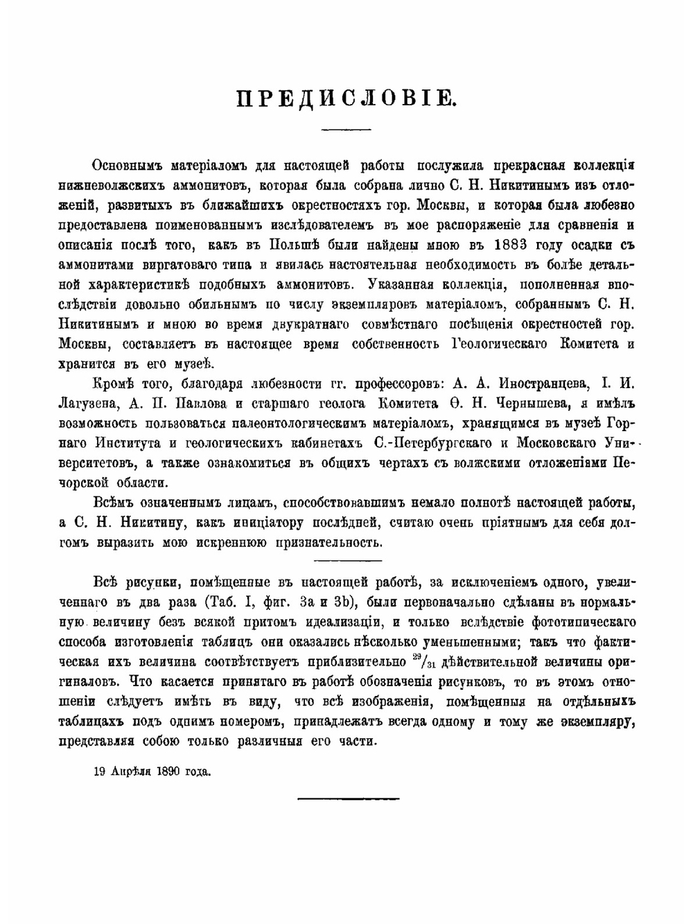 Аммониты нижнего волжского яруса | А. Михальский