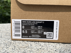 Nike Dunk Low Disrupt 2 DV4024-003