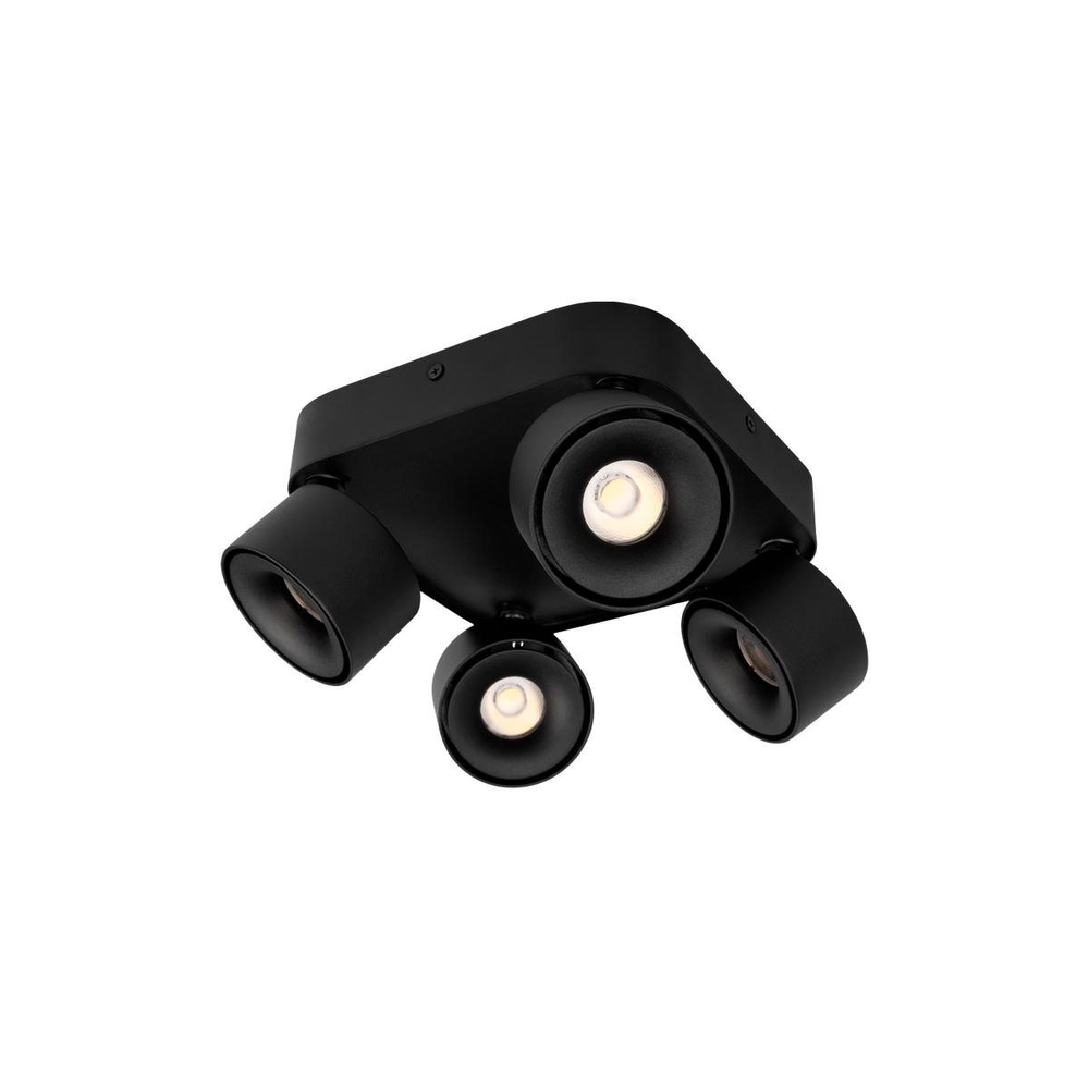 Потолочный светодиодный светильник Loft It Case 10326 Black