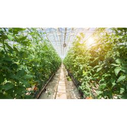 Дождеватель для полива GF GF80005633 круговой для газона ROTAX | GF