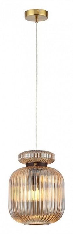 Подвесной светильник Odeon Light Jugi 5042/1A