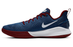 Кроссовки Nike Mamba Focus