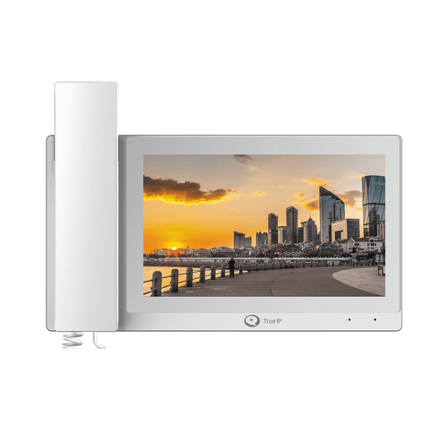 True IP TI-3720WPH СКУД