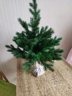 Ель Царь Елка Астерия Премиум 60см 3D