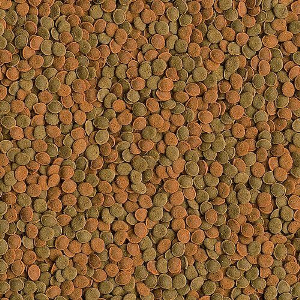 TetraWaferMix корм-чипсы для всех донных рыб (Фасовка 20г)