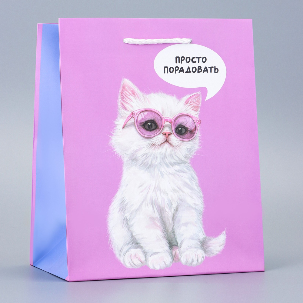 Пакет Порадовать 18×22.3×10 см
