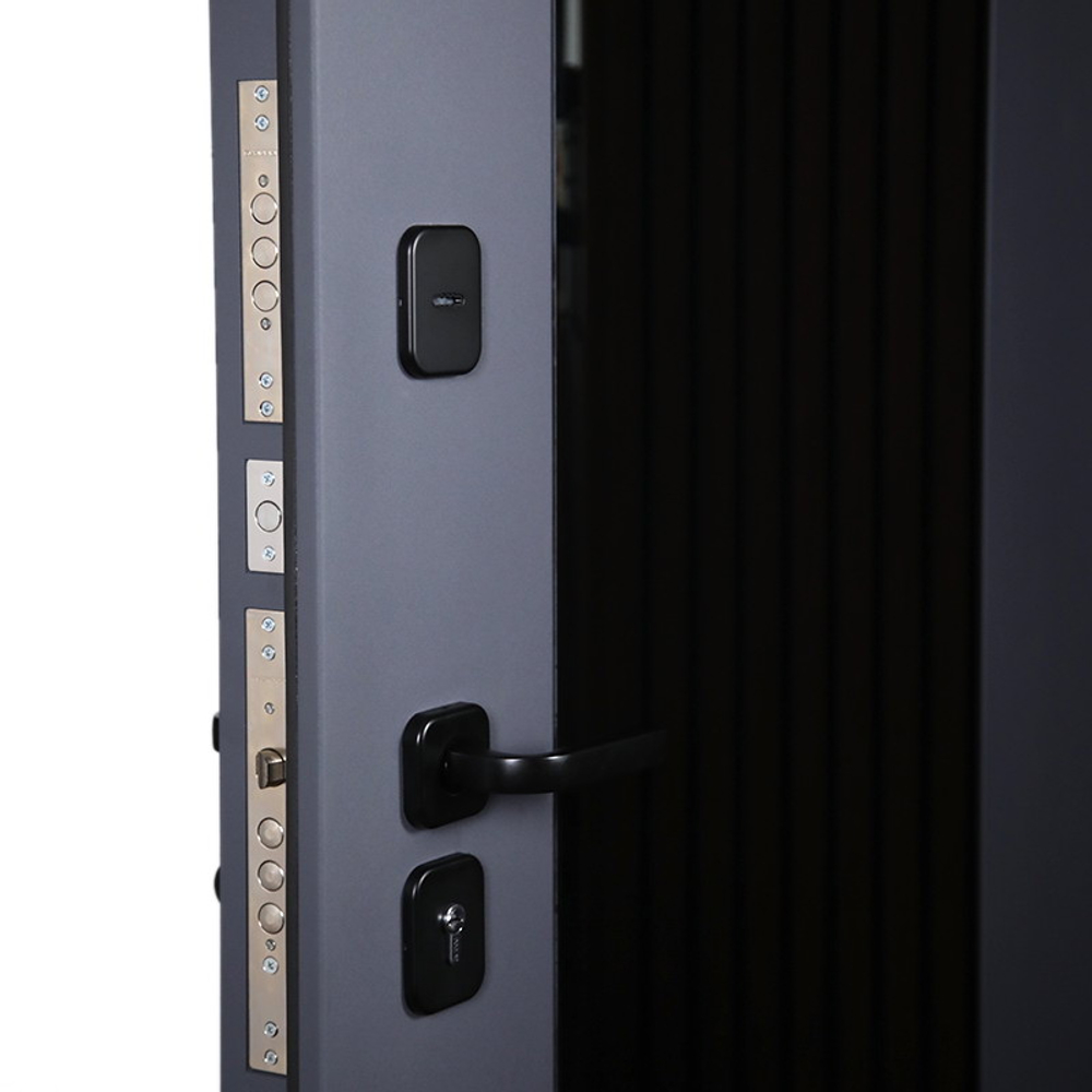 Стальная дверь "Циркон". Заказная модель.