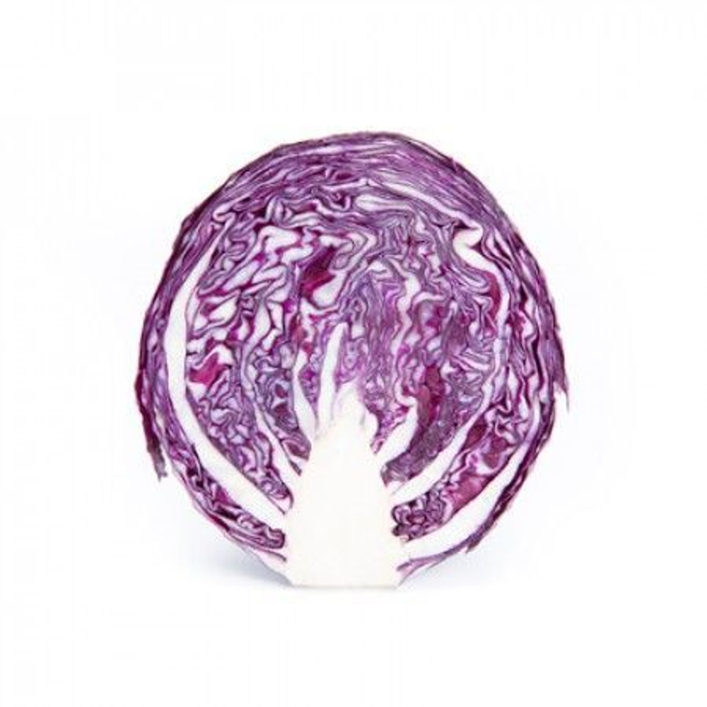 Редма F1 семена капусты краснокочанной (Rijk Zwaan / Райк Цваан)