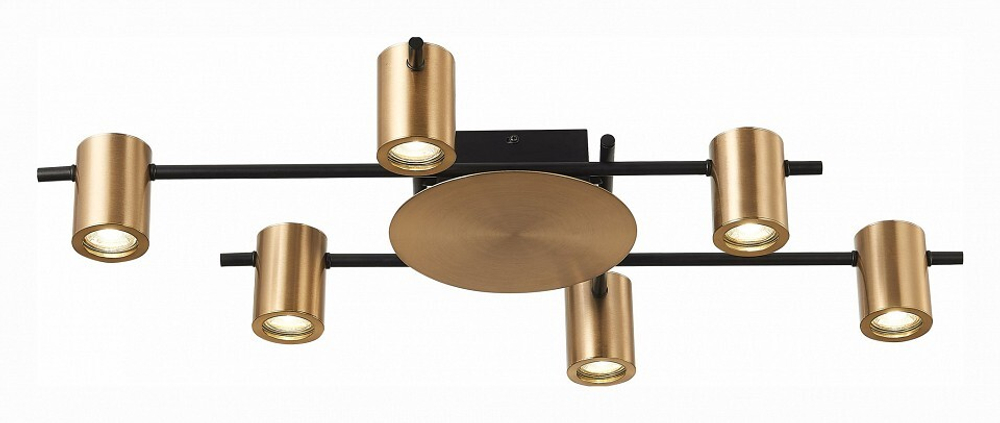 Накладная люстра ST-Luce SL1207.402.06
