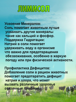 Соль для животных лизунец кормовая для имуннитета витамины