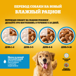 Влажный корм для взрослых собак PEDIGREE с говядиной и ягненком в соусе 85 г