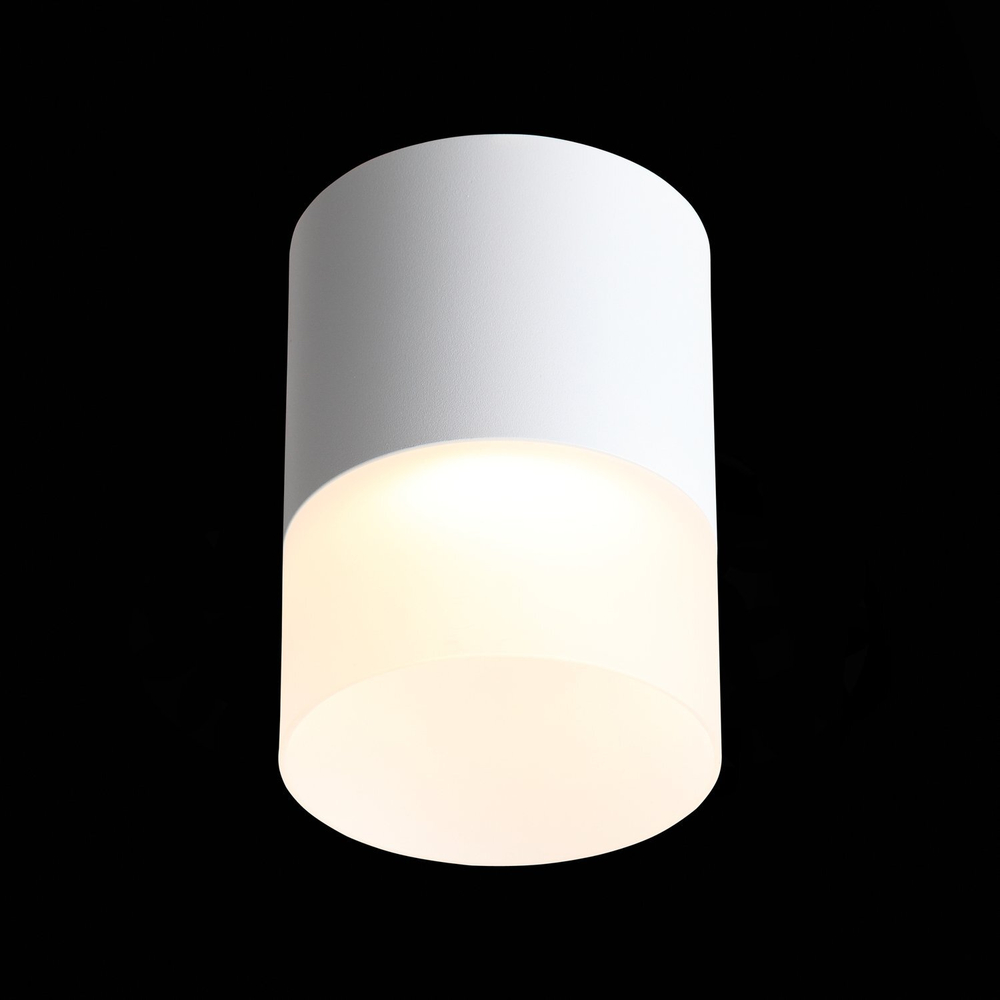 ST100.502.15 Светильник потолочный Белый LED 1*15W 3000K 1 170Lm Ra&gt;80 120° D118xH150 170-240V Накладные светильники