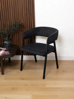 Стул Ботаника