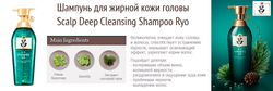 Ryo Scalp Deep Cleansing Shampoo шампунь для глубокого очищения кожи головы