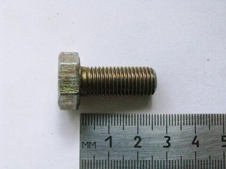 Болт10х 25x1,25 звездочки распредвала и шаровой опоры 2108 (БЕЛЫЙ) (ОАО «БелЗАН»)