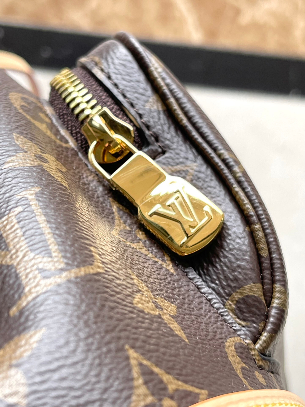 Louis Vuitton Montsouris PM