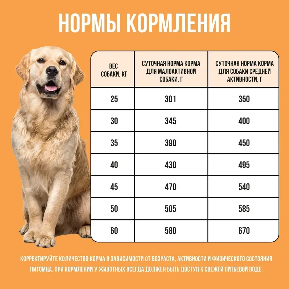 Сухой корм BOWL WOW для собак крупных пород с индейкой, курицей, рисом и тыквой  Сухой корм BOWL WOW для собак крупных пород с индейкой, курицей, рисом и тыквой