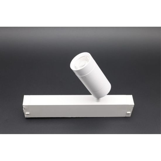 Светильник трековый APL.0204.10.07