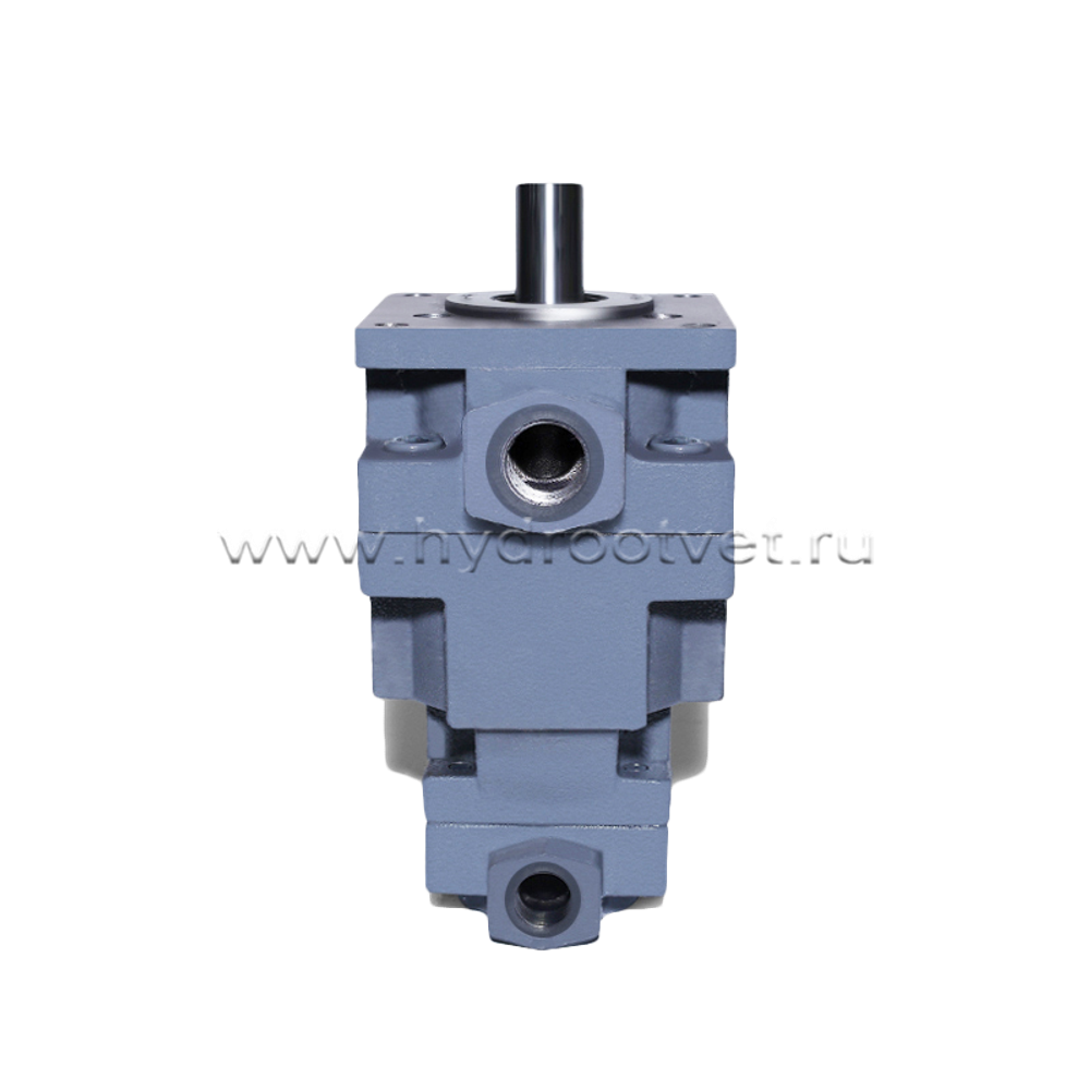НПл63-12,5/6,3 - Пластинчатый нерегулируемый сдвоенный насос с рабочим объемом 63+12,5 см3 (YB1-63/12.5U)