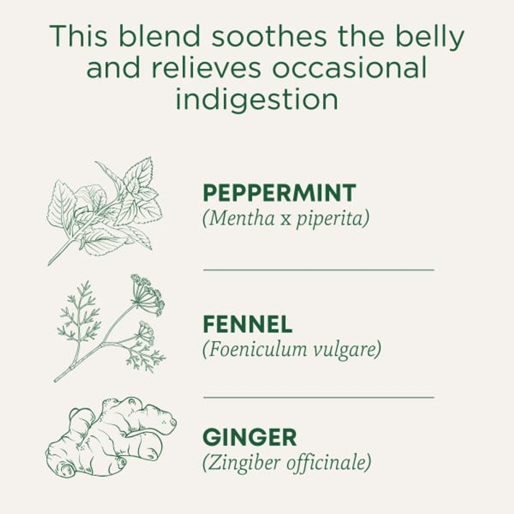 Traditional Medicinals, Organic Belly Comfort®, перечная мята, без кофеина, 16 упакованных чайных пакетиков, 28 г (0,99 унции)