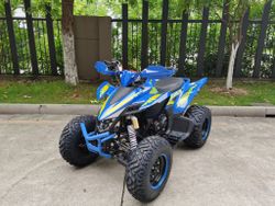 Квадроцикл YACOTA TYPHOON 250 бензин