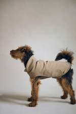 Попона "Пони-попони" песочная