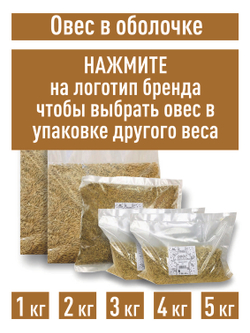 Овес для настоев, 3 кг для запаривания заваривания в оболочке неочищенный в шелухе