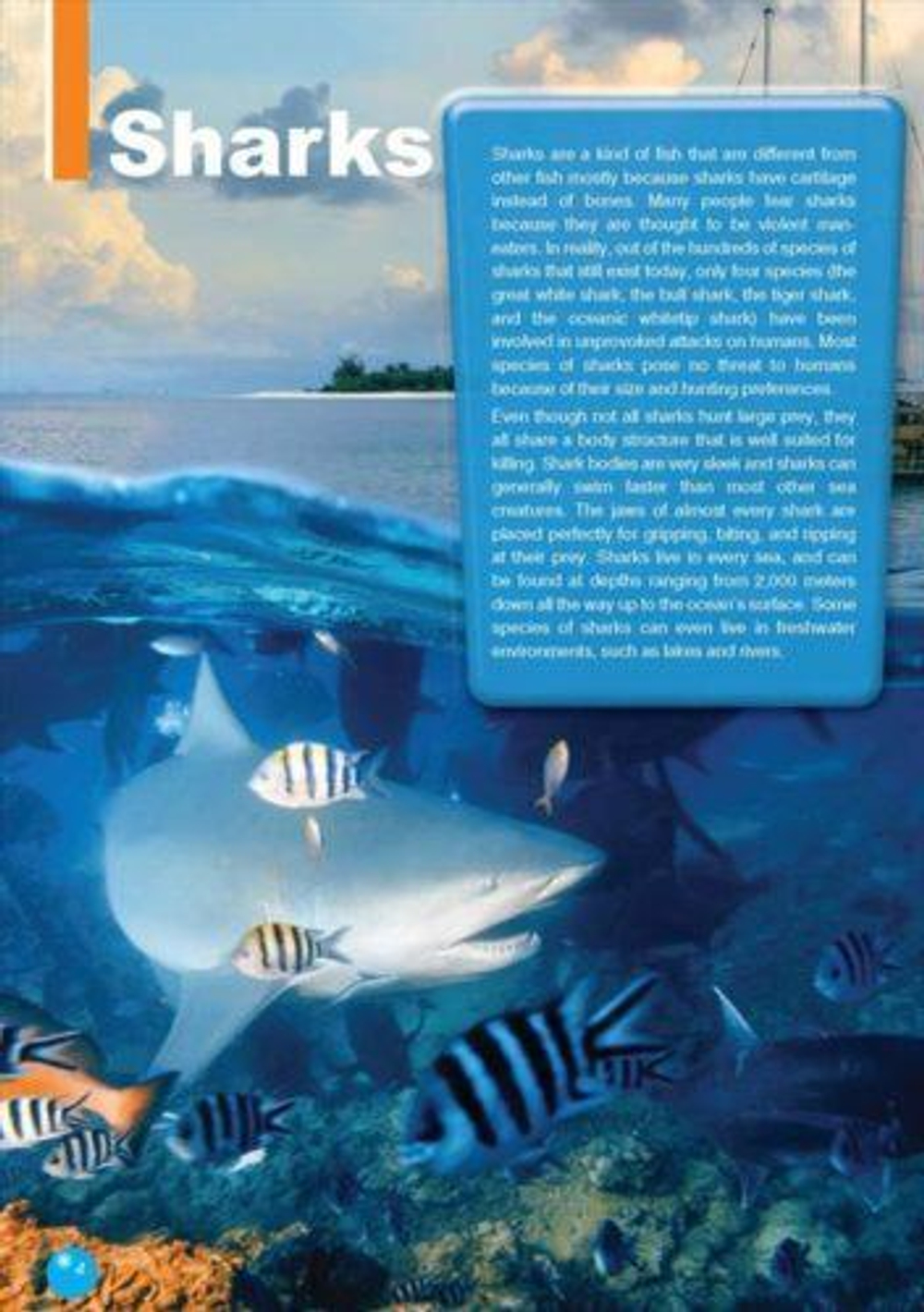 The Great White Shark. Уровень В1 (7-9 класс). Книга для чтения с доступом к электронному приложению