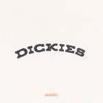  Футболка мужская Dickies Outdoor артикул:DK0A4Z8PC481 - купить в магазине Дайс