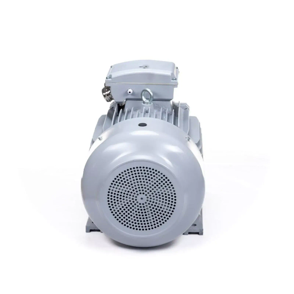 Электродвигатель ESQ PR 225 M4-SDN-Б1-S12-IE3 45/1500 IMB3