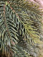 Ель искусственная «Богемская» (Литая+пвх) 180 см / 1.8 м